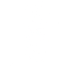 1955 1955 1955