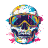 Skull Ski Ski Goggles