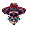 Mexican Skeleton Sombrero