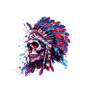 Indian Skull