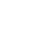 Mystical turtle with tribal elements