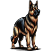 Deutscher Schäferhund Schäferhunde Schäferhunde