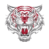 Tête de tigre sauvage
