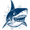 Angry Shark