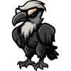 Harpy Bird Cool Animal