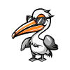 Pelican Bird Cool Animal