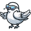 Dove Bird Cool Animal