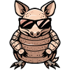 Armadillo Cool Animal