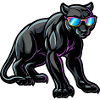 Panther Cool Animal