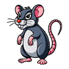 Rat
