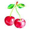 Cherry, Red cherries