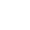 Pirate Skull