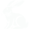 Rabbit Rabbit Animal