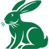 Rabbit Rabbit Animal