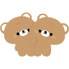 Couple d’ours brun