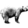 Bärdesign