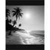 Beach Black and Withe