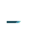 Occupational Therapy Assistant in Training Profession