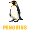 Pingouins Pingouin