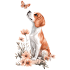 Beagle et papillon