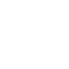 Penguins Penguin