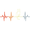 Cat Cardiogram