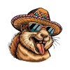 Squirrel Comic Funny Sombrero