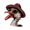 Goose Comic Funny Sombrero