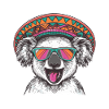 Koala Comic Funny Sombrero