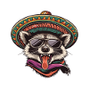 Raccoon Funny Sombrero