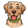 Labrador Portrait