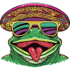 Frog Funny Sombrero
