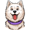 Samojede Portrait