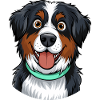 Bernese Mountain Dog Portrait