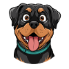 Rottweiler Portrait