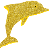 cute dolphin