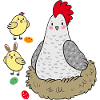 Chicken in the nest Easter
