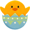 Chick in Easter egg