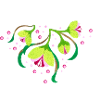 floral rose dots