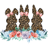 leopard rabbits