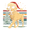 Labrador Christmas