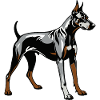 Doberman Pincher - Pet Dog Design