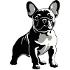 Bouledogue français
