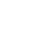 Tribal Husky with mystical charisma