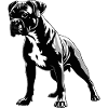 Boxer - Autocollant Chien de compagnie