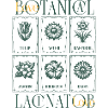 Botanical Love