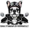 Boule d'amour en vadrouille ! Bulldog Motard