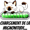 Loading Cuteness - Adorable Cat
