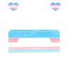 Fierté LGBT transgenre