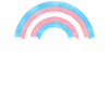 Fierté LGBT transgenre